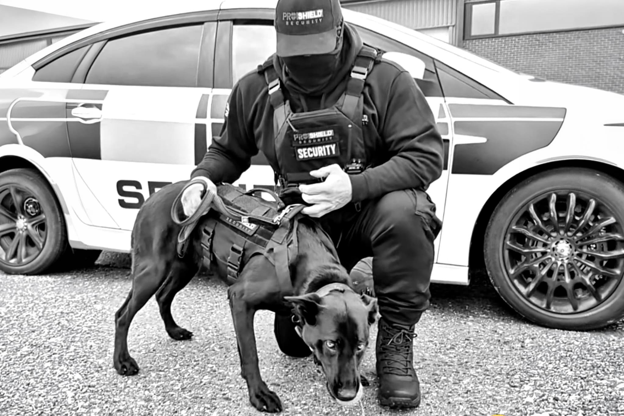 Sin título-1_0003_FILL BACKGROUND 2